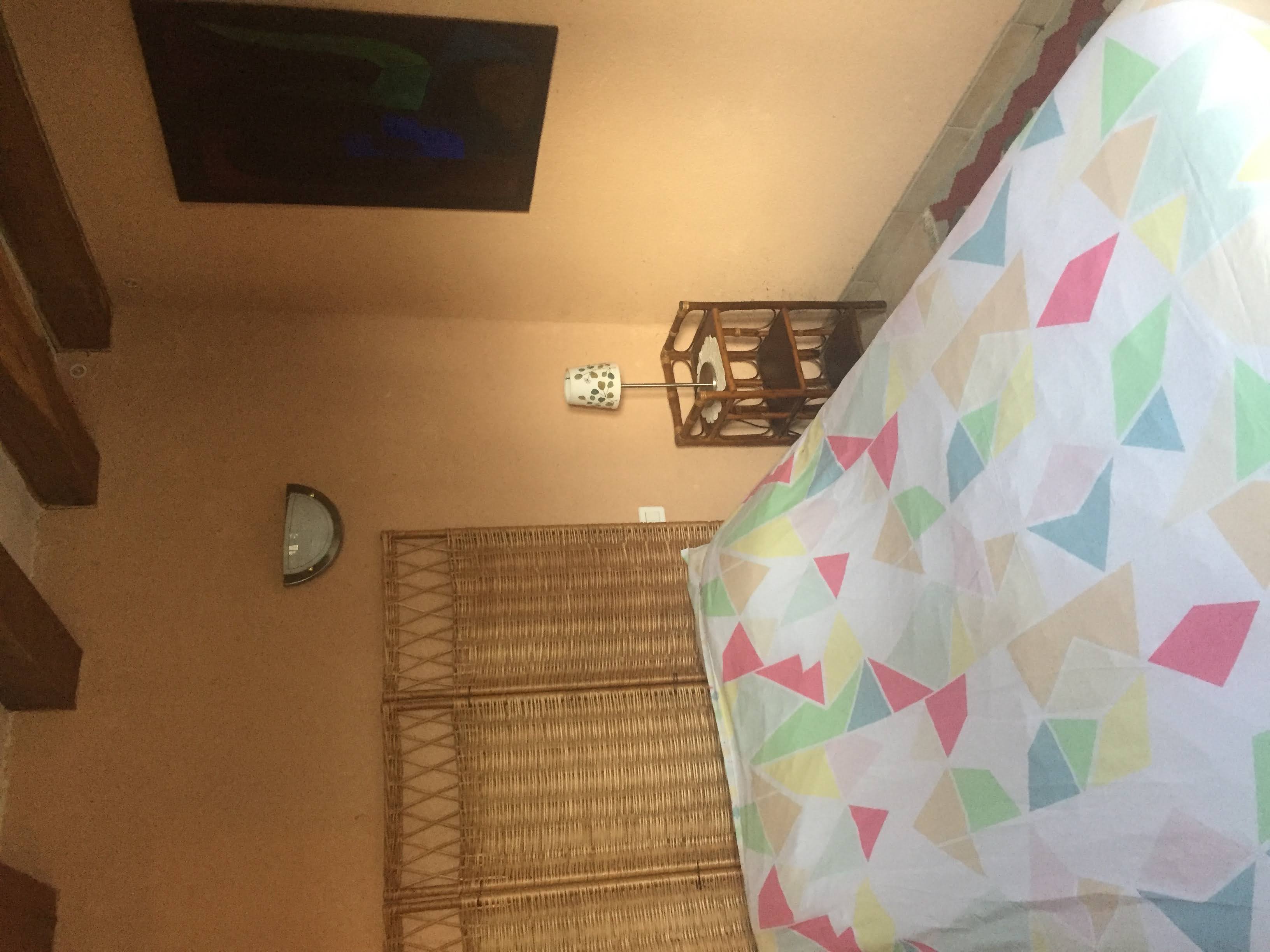 Lys en Val, Saché - photo 6