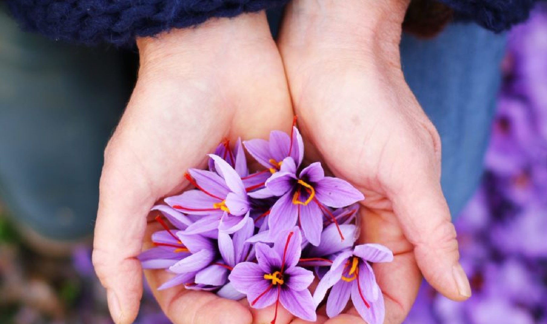 Au Jardin Gourmand d’Antoinette - photo 3