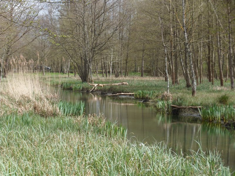 Les prairies du Château, Valençay - photo 3