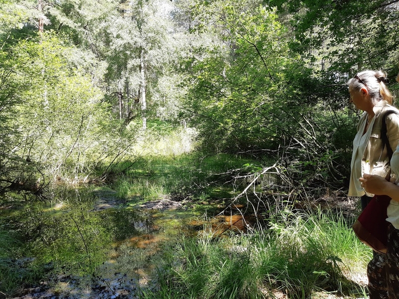 Des Petits Pas vers Soi, Seichebrières - photo 3