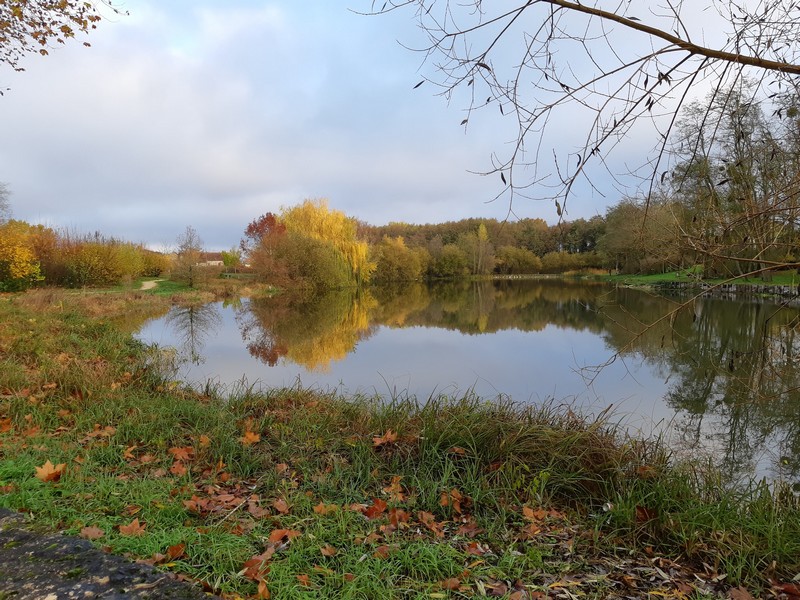 Aire de pique-nique à la Fosse aux Blancs de Saint-Denis-de-l'Hôtel