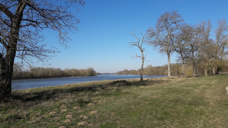 Promenade des Deux Ponts A29, Châteauneuf-sur-Loire - photo 13