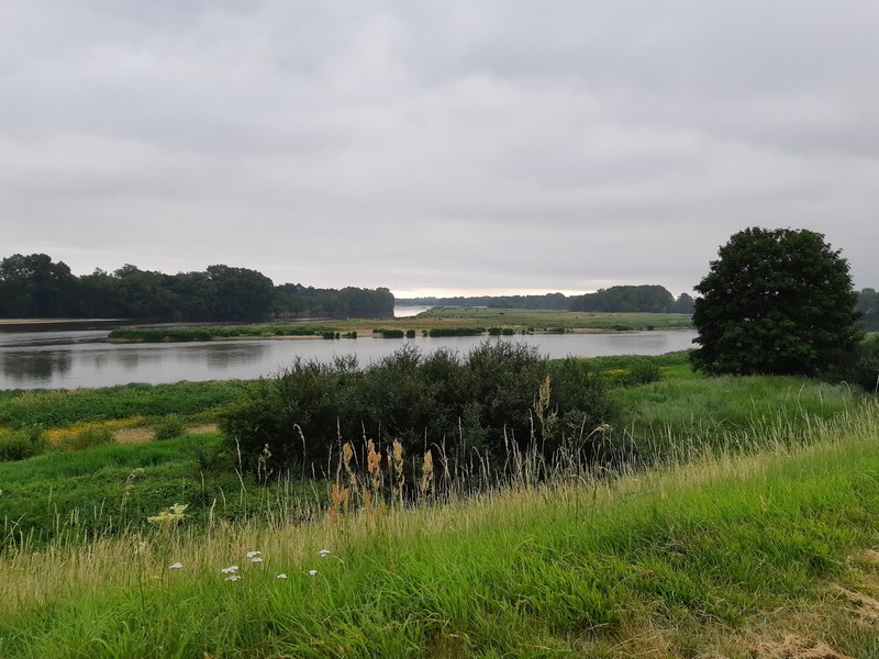 L'Ile aux oiseaux, Sandillon - photo 4