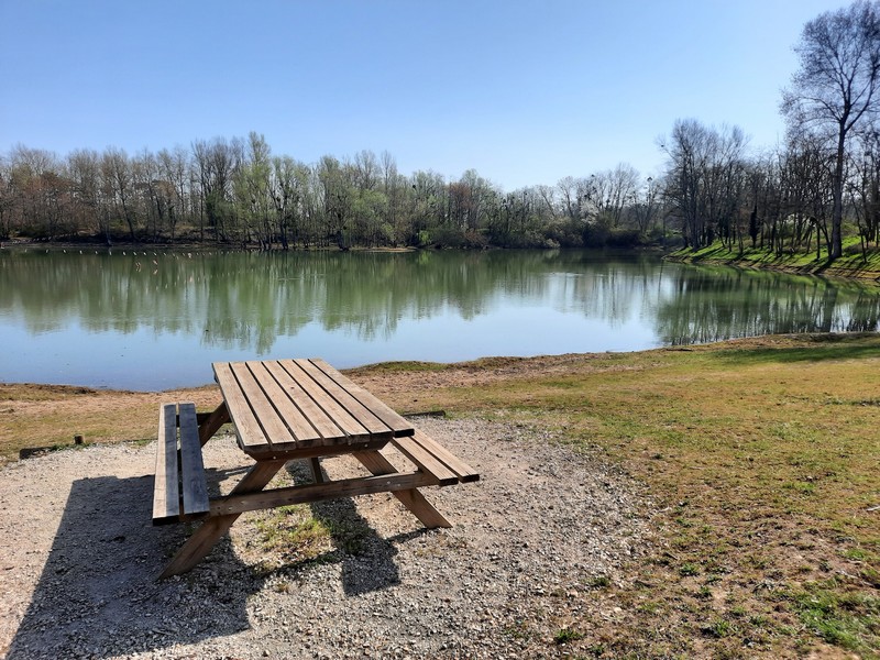 Aire de pique-nique à l'étang de la Tuilerie de Sandillon  France Centre-Val de Loire Loiret Sandillon 45640