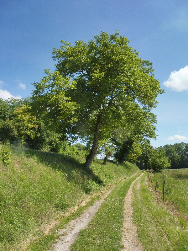 Sentier Découverte Benjamin Rabier, Valençay