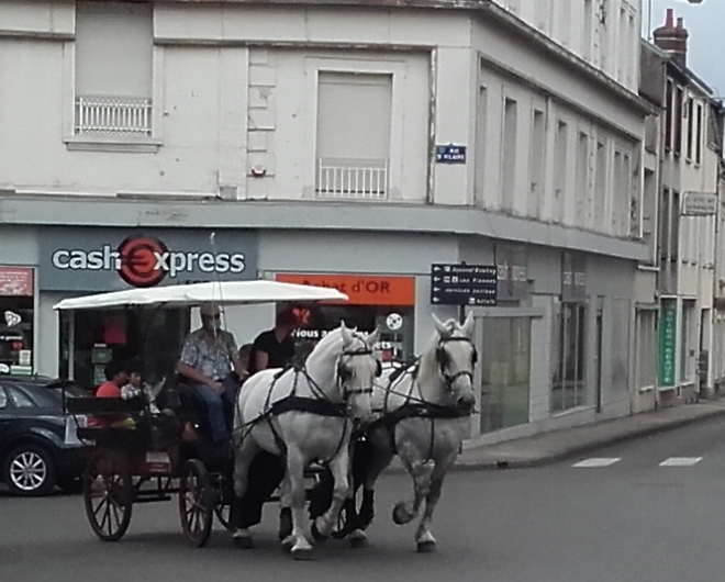 Les calèches du Perche - Ecurie d'Albe, Saint-Jean-Pierre-Fixte - photo 8