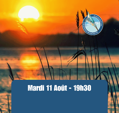 Estivales - Mardis soir au bord de l'eau - Marcilly-en-Gault
