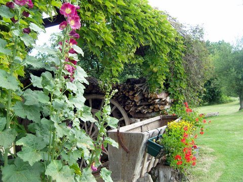 La Maison de Charlotte, Meunet-Planches - photo 6