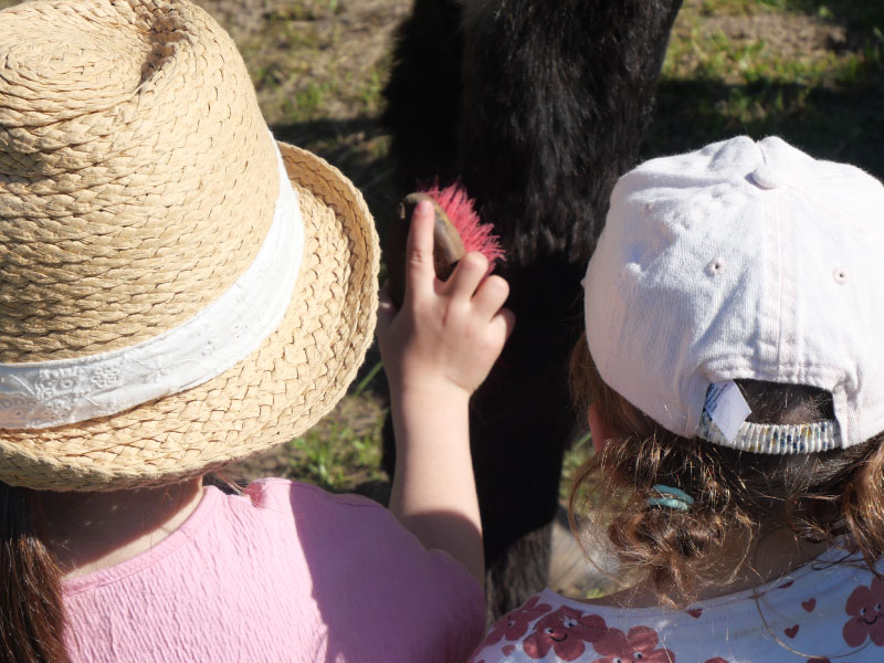 Atelier soigneur en herbe