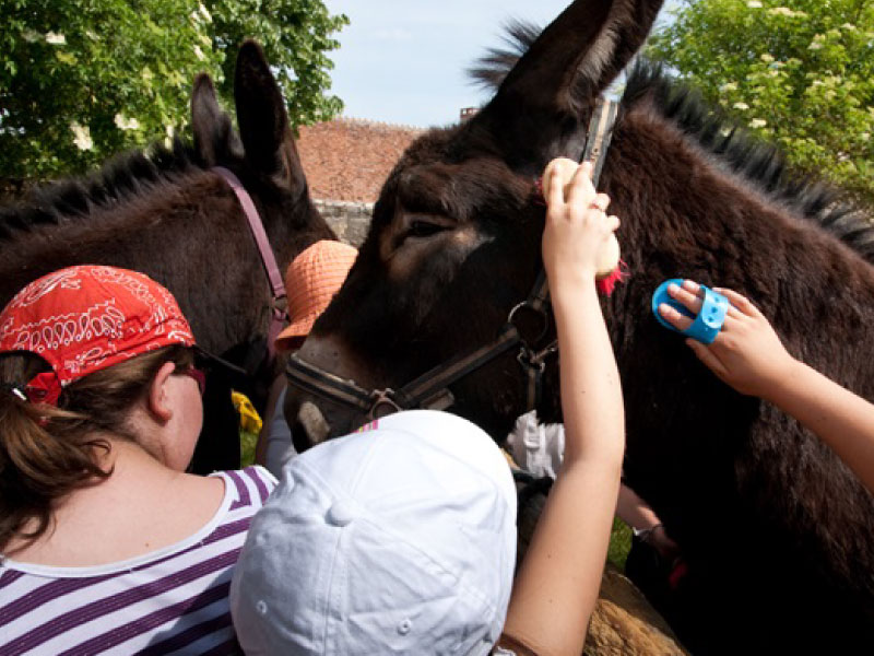 Atelier soigneur en herbe - photo 4