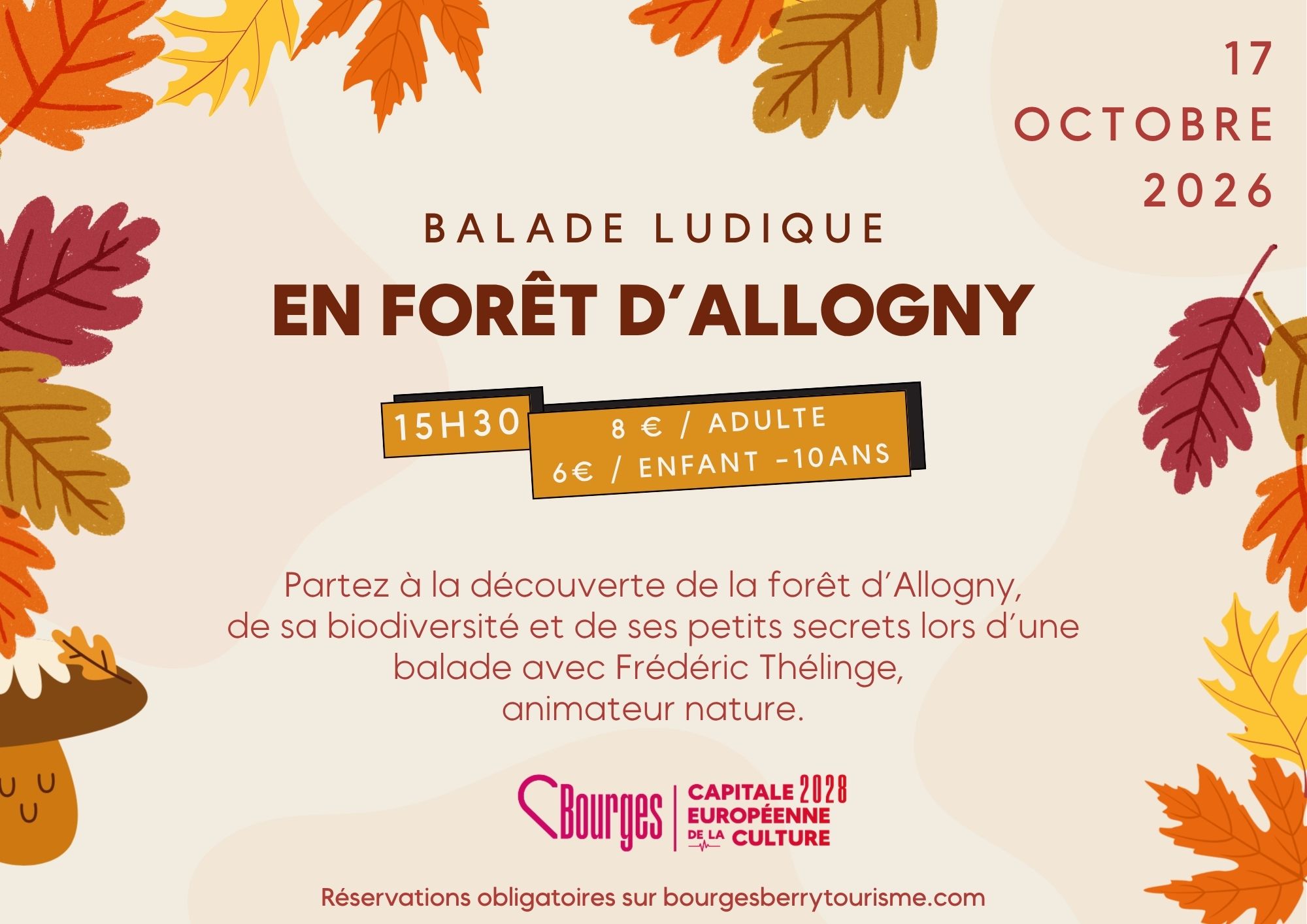 Balade ludique en forêt d'Allogny