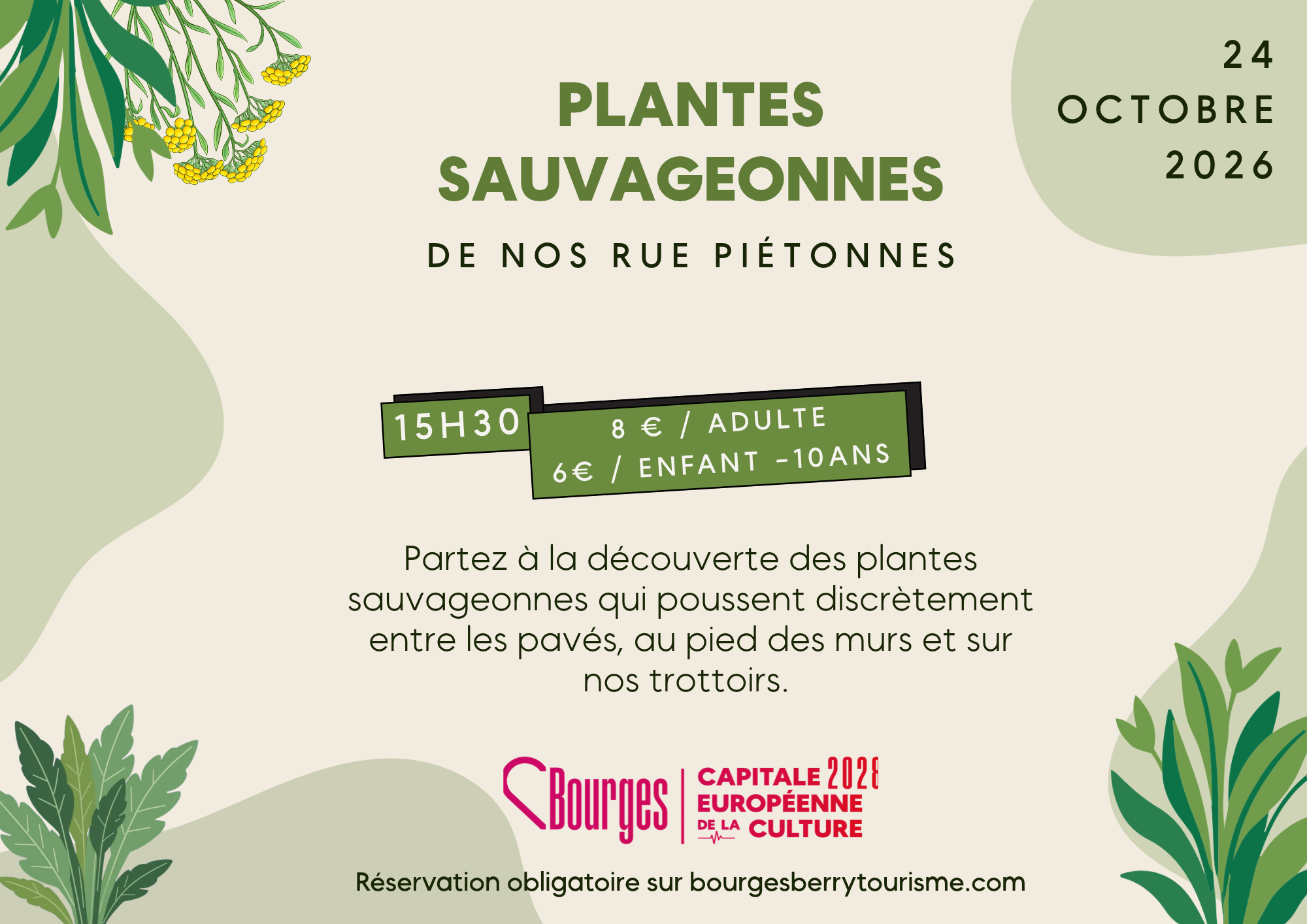 Animation : Les Plantes Sauvageonnes De Nos Rues Piétonnes