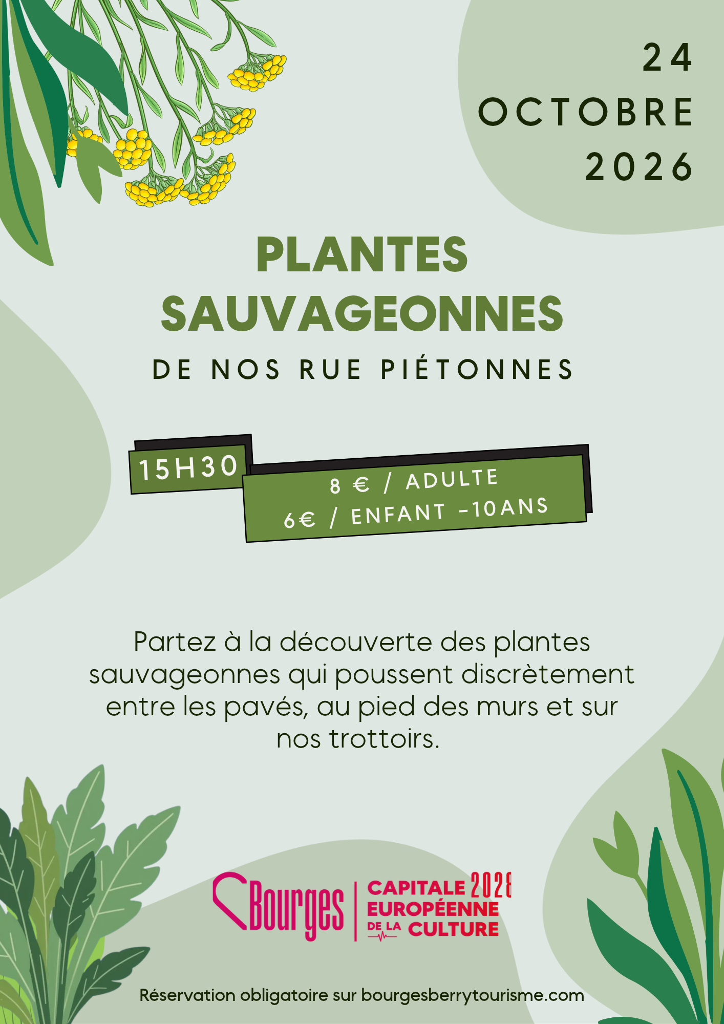 Animation : Les Plantes Sauvageonnes De Nos Rues Piétonnes