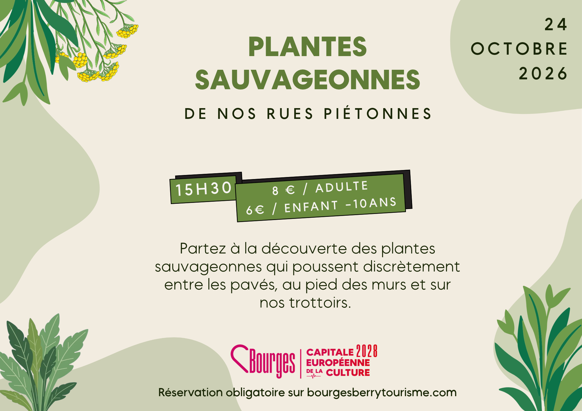 Animation : Les Plantes Sauvageonnes De Nos Rues Piétonnes
