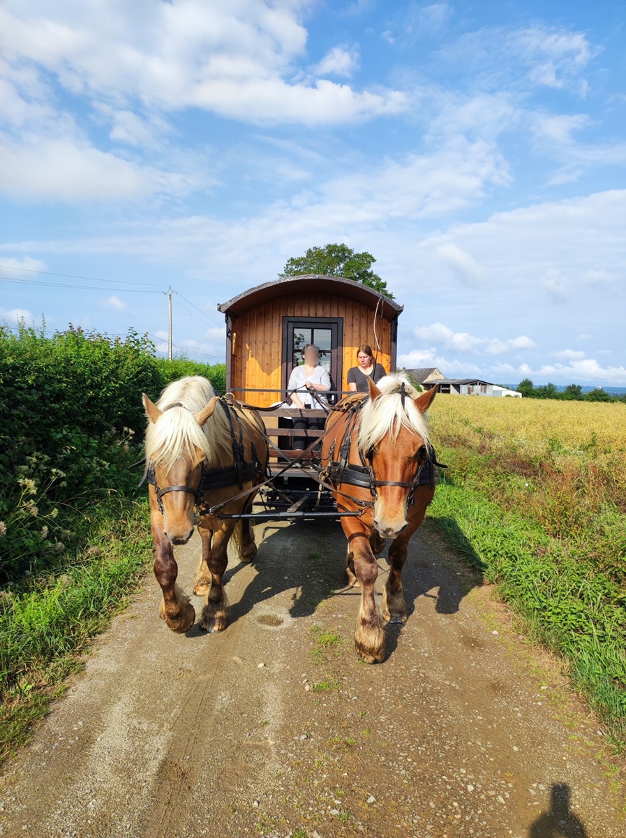 Séjour itinérant en roulotte avec 2 chevaux, Saint-Priest-la-Marche - photo 16
