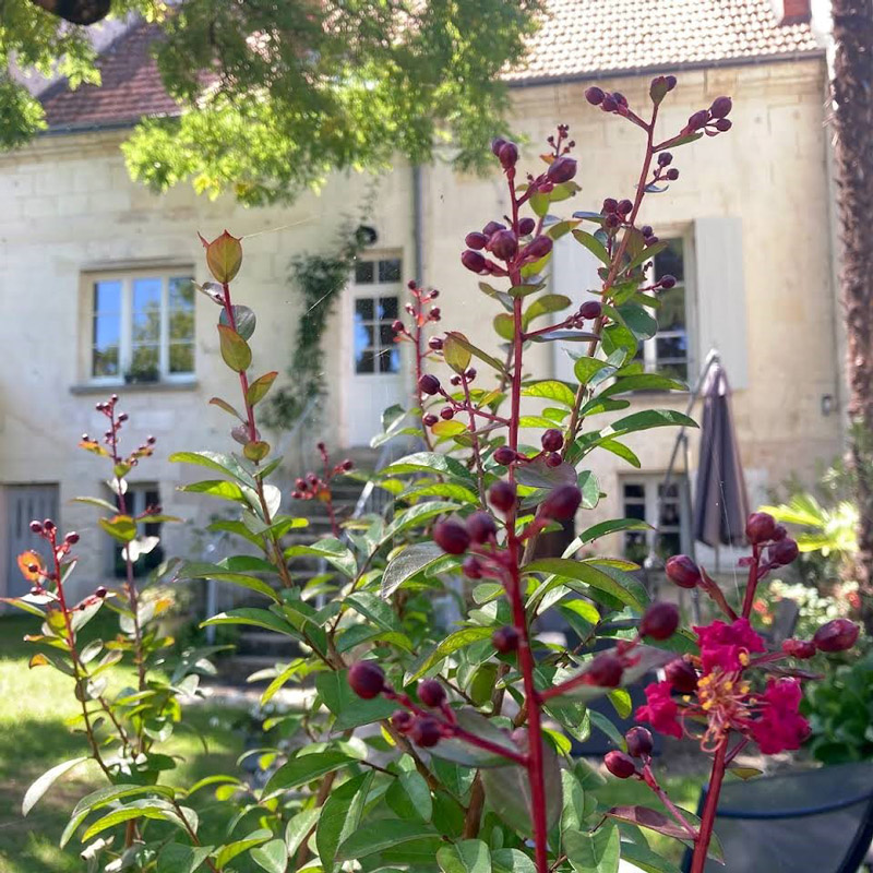 Gîte Saint-Joseph, Loches - photo 5