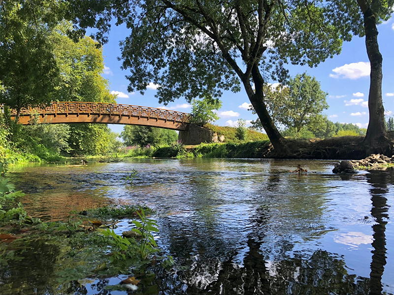 Les prairies de l'Indre