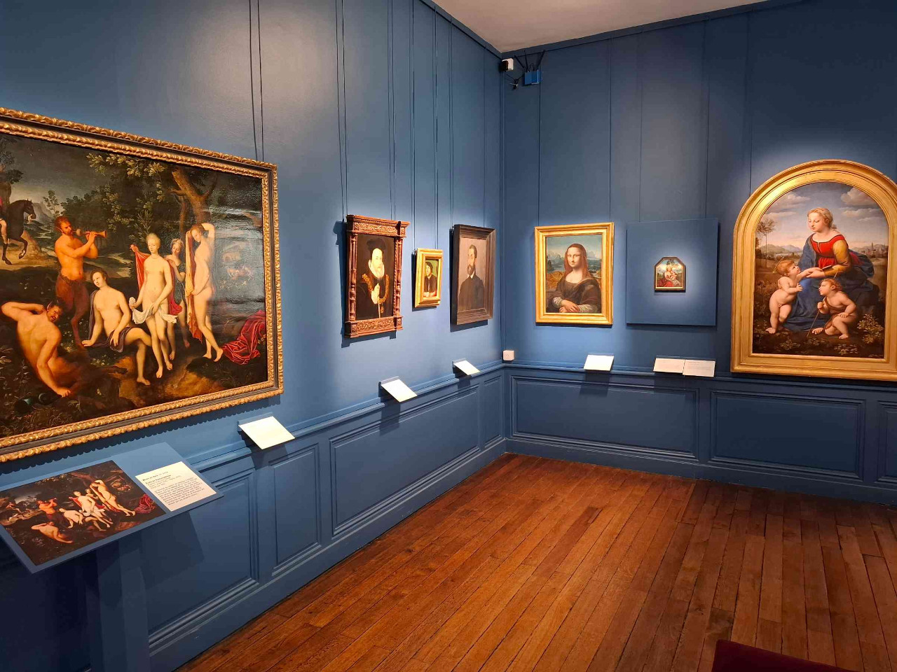 Musée des Beaux-Arts de Tours et son jardin, Tours - photo 12