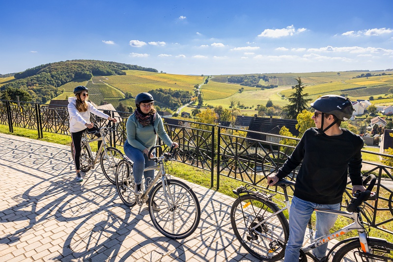 La Loire à Vélo en région Centre-Val de Loire, Orléans - photo 5