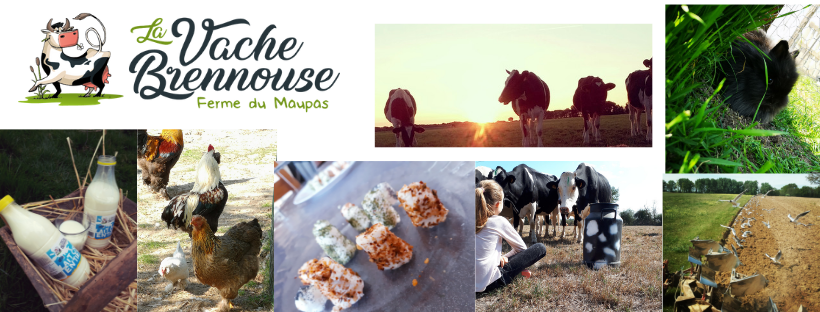 Ferme du Maupas La Vache Brennouse