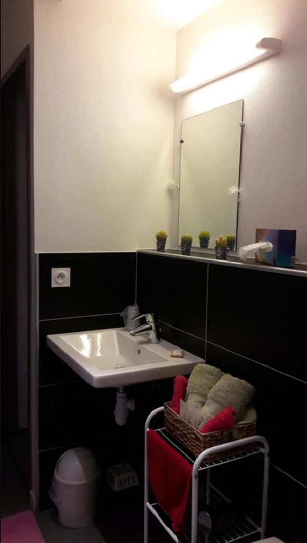 Au bosquet fleuri, Martizay - photo 6