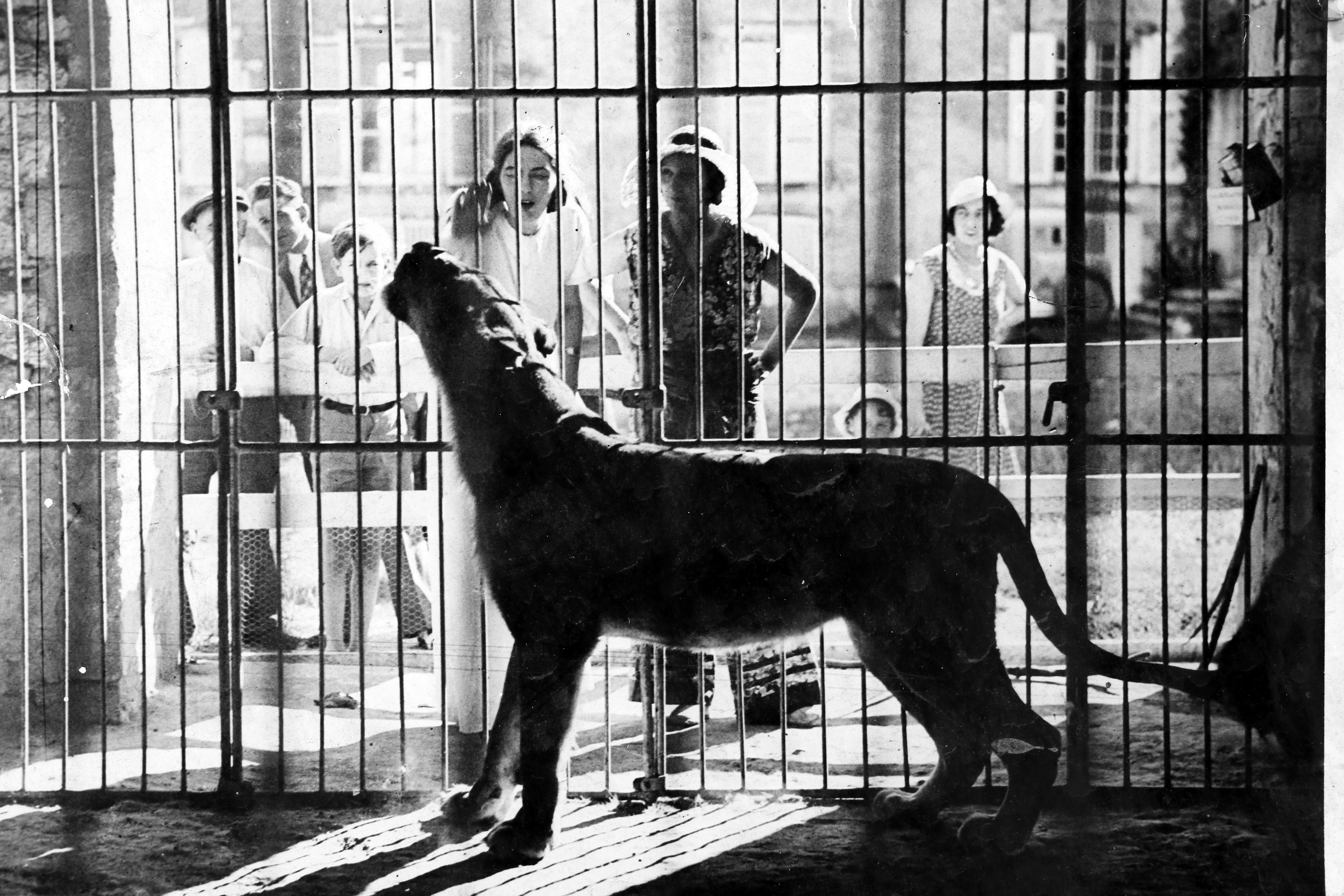 Le Manoir des Fauves, Saint-Lactencin - photo 5