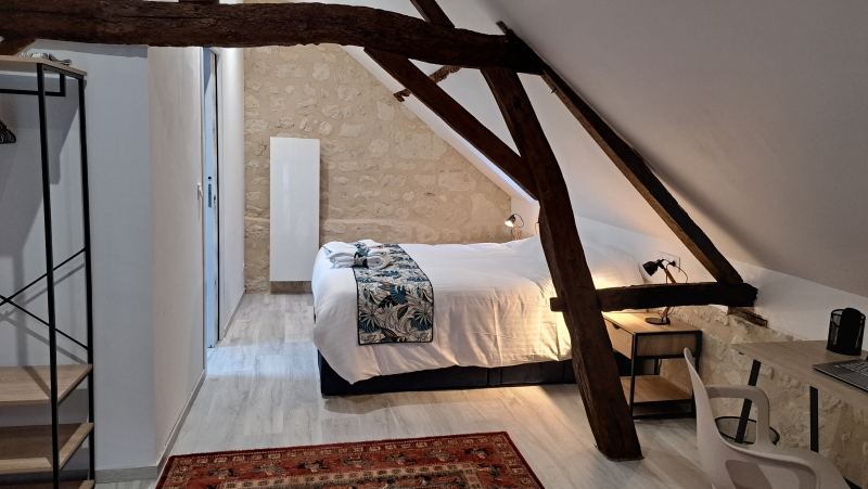 Gîte "Le Petit Magnan", Savigny-en-Véron - photo 5