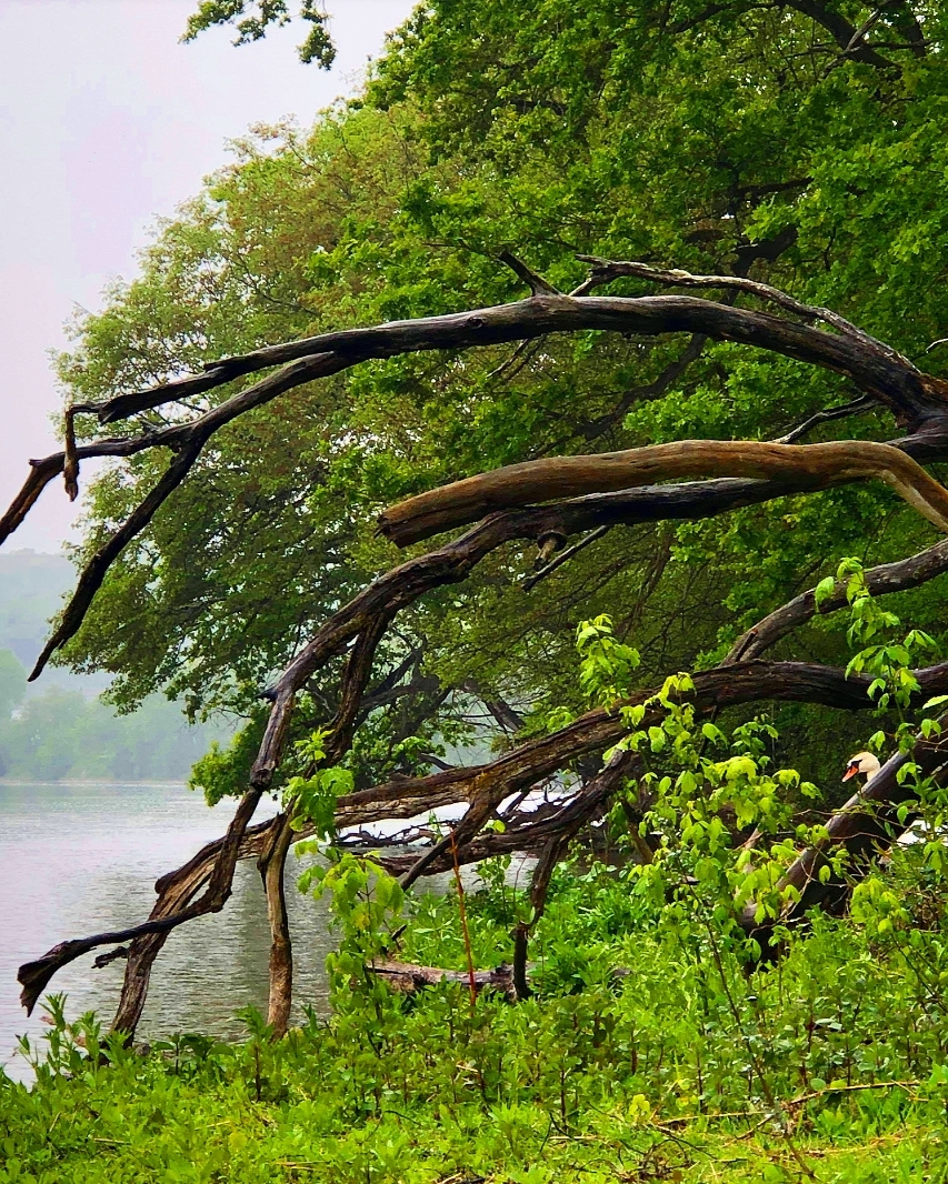 Sentier Nature et Observatoire à Oiseaux (Châteauvieux et Seigy), Châteauvieux - photo 8