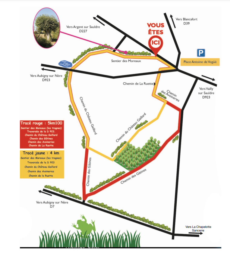 Sentier botanique et patrimonial de Oizon, Oizon