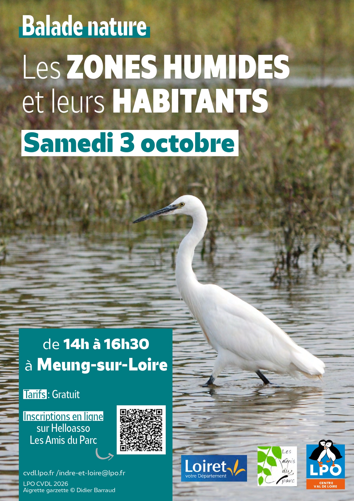 Balade nature : Les zones humides et leurs habitants