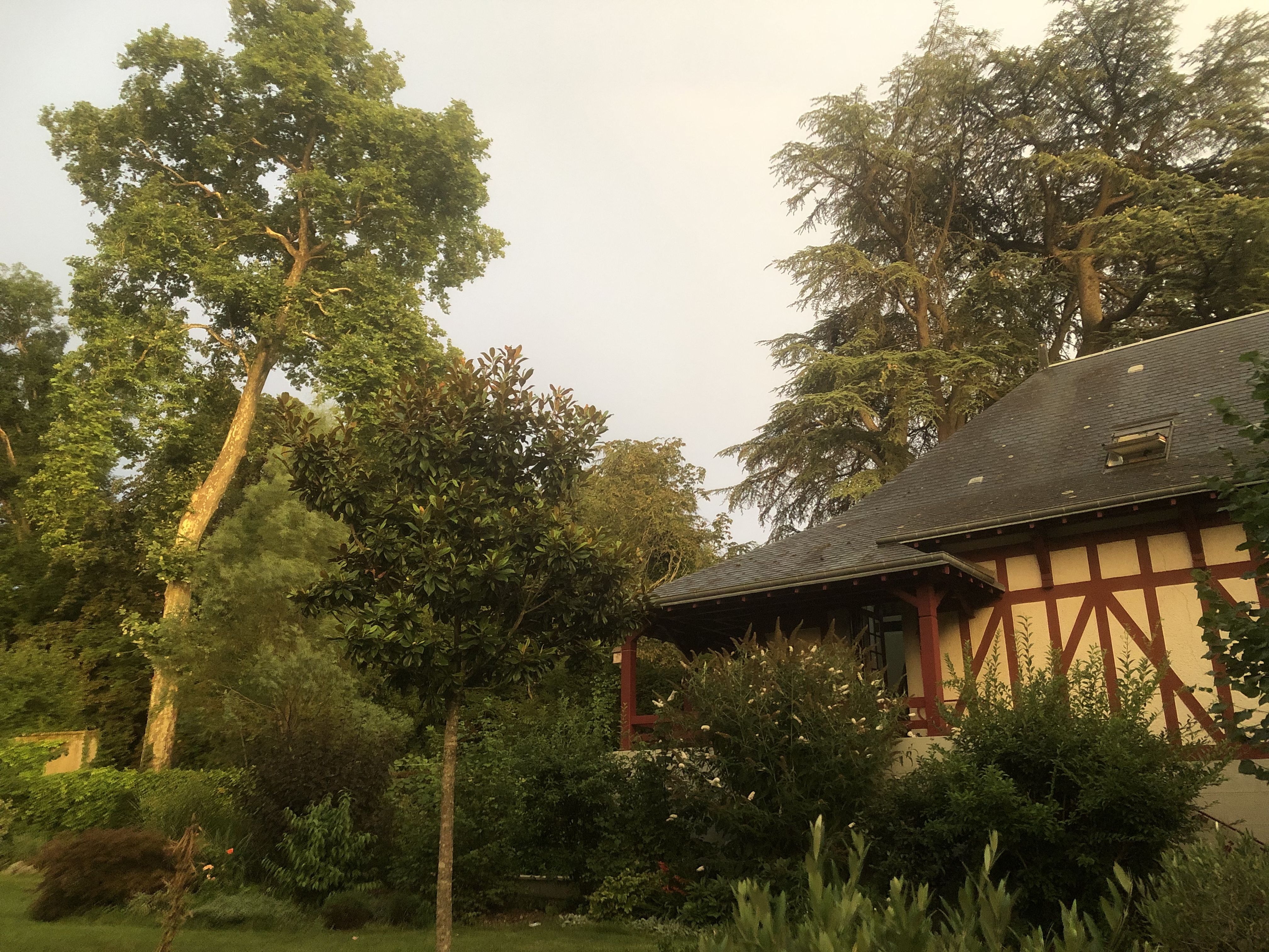 Le Clos du Petit Dannezy - Logis Sainte Anne, Cour-Cheverny - photo 10