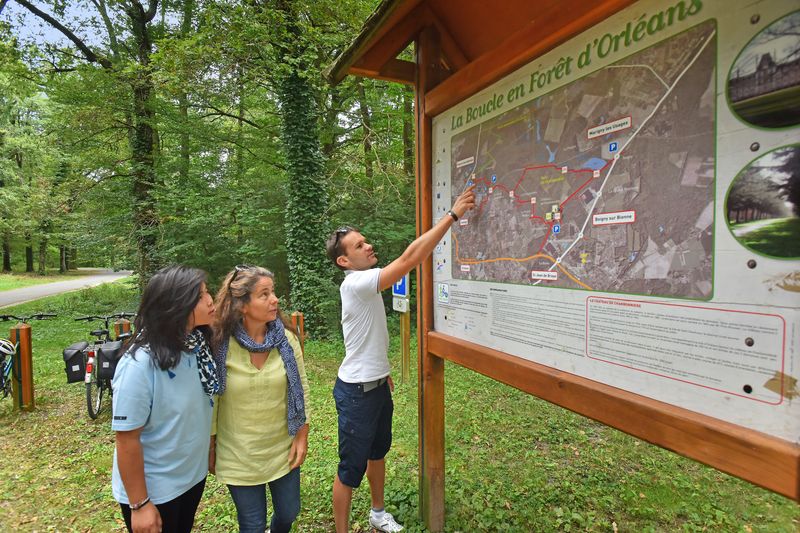 Boucle 01 - En forêt d'Orléans, Saint-Jean-de-Braye - photo 6