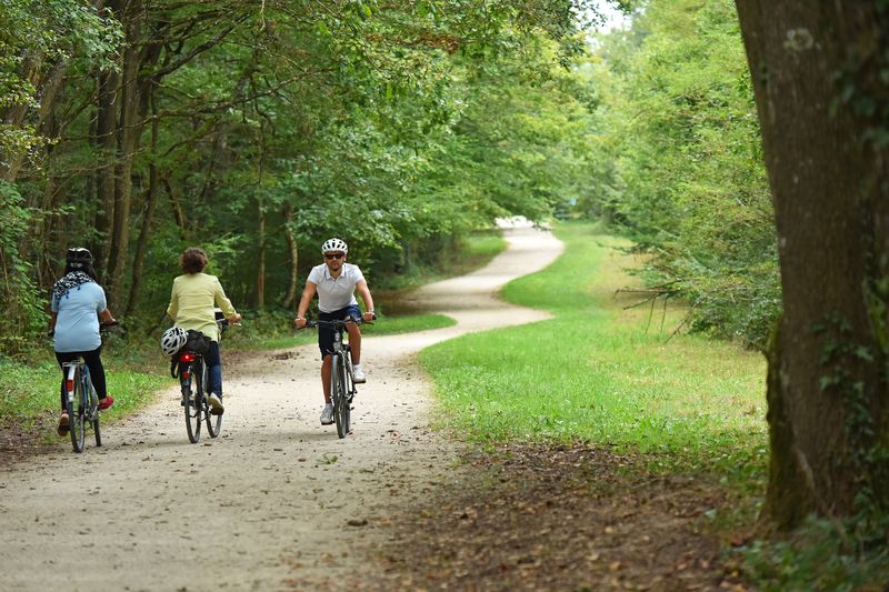 Boucle 01 - En forêt d'Orléans, Saint-Jean-de-Braye - photo 8