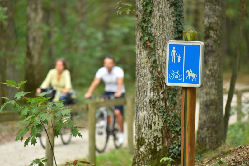Boucle 01 - En forêt d'Orléans, Saint-Jean-de-Braye - photo 3