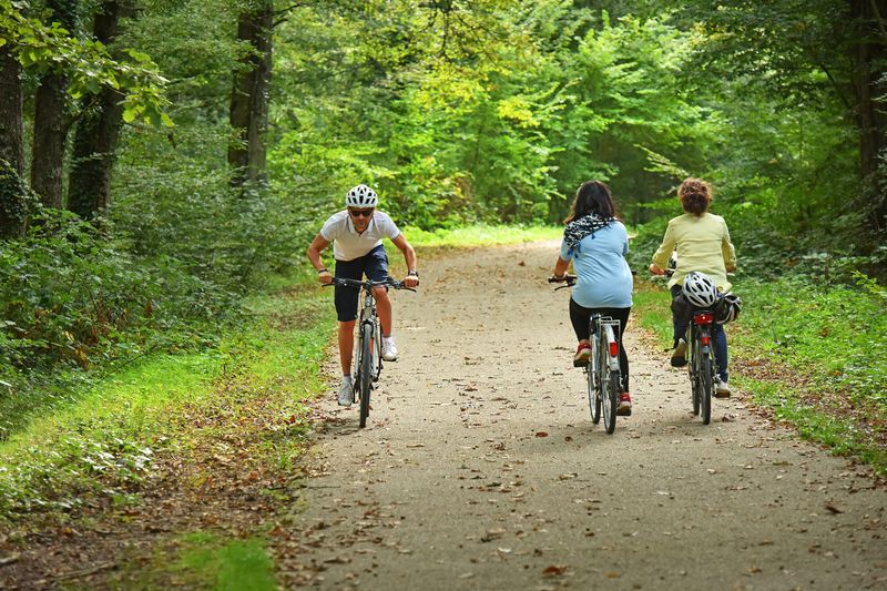 Boucle 01 - En forêt d'Orléans, Saint-Jean-de-Braye - photo 4