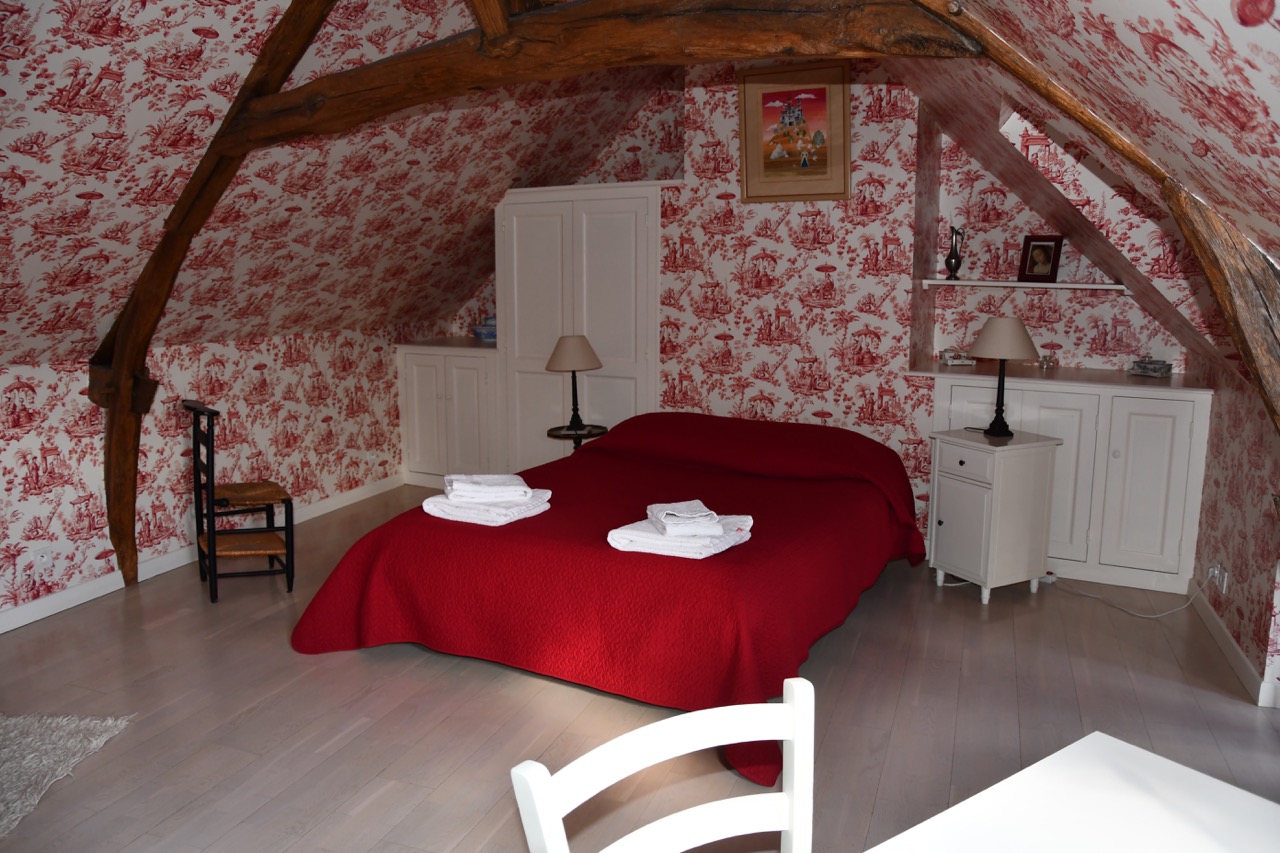Clos du Petit Dannezy - Saint Joachim, Cour-Cheverny - photo 4