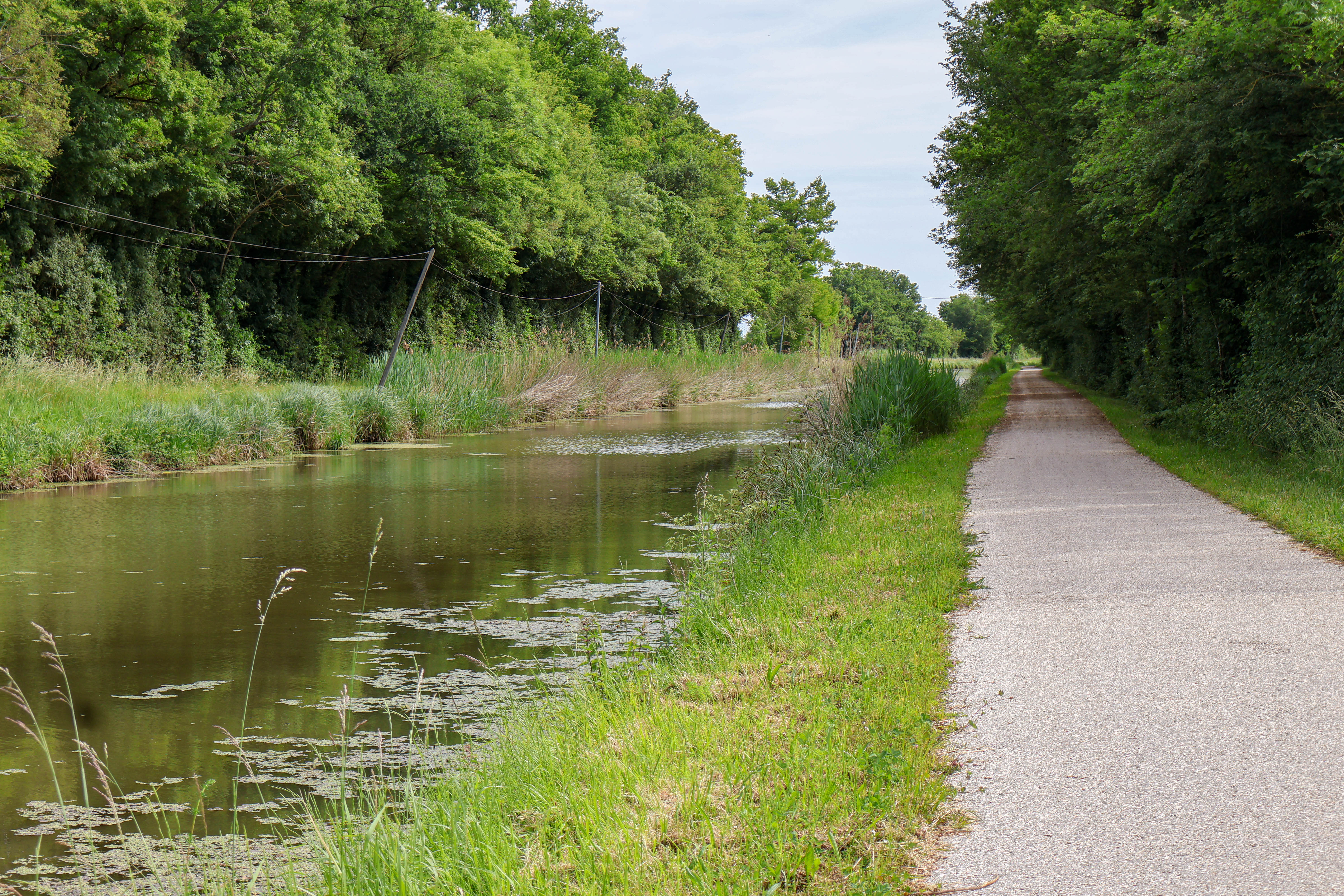 Véloroute Le Canal d'Orléans à vélo, Orléans - photo 5