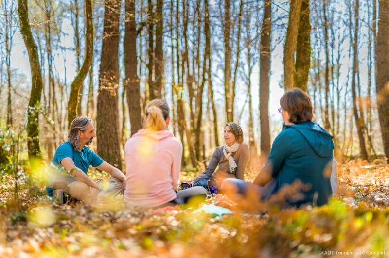 Bains de forêt et Sylvothérapie