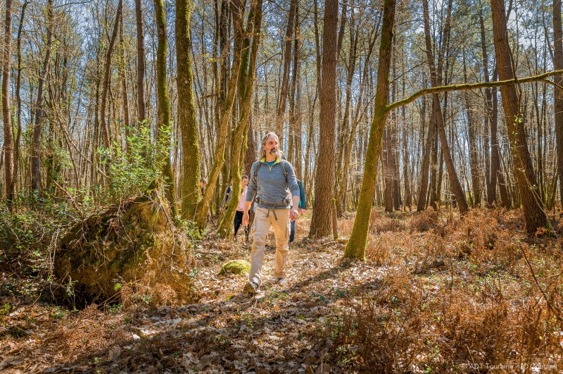Bains de forêt et Sylvothérapie - photo 5