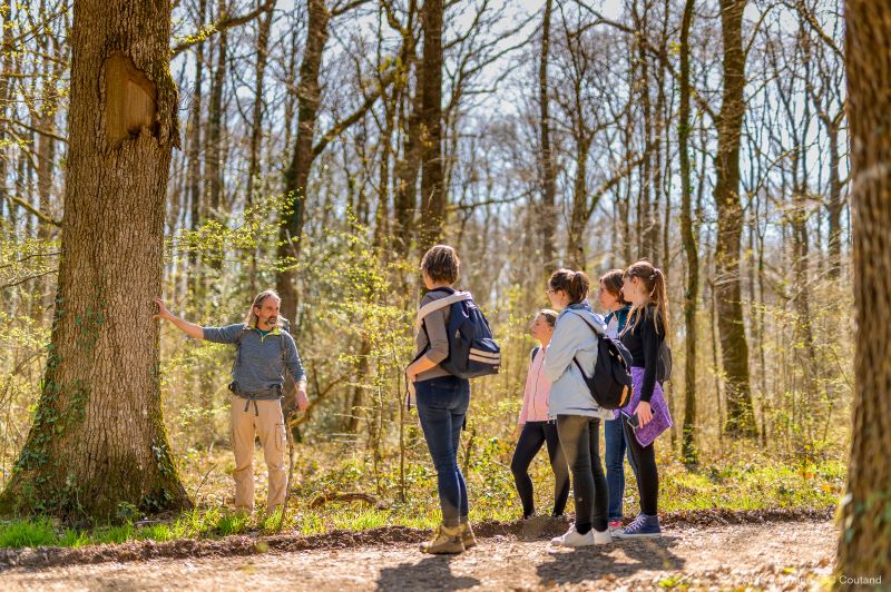 Bains de forêt et Sylvothérapie - photo 3