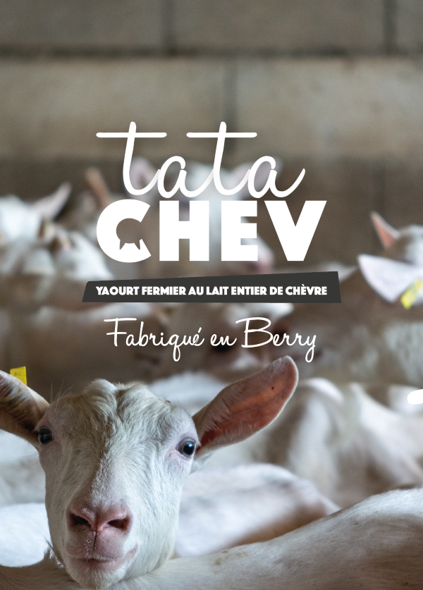 Tata Chev' - Gaec Denis Van Hasselaar