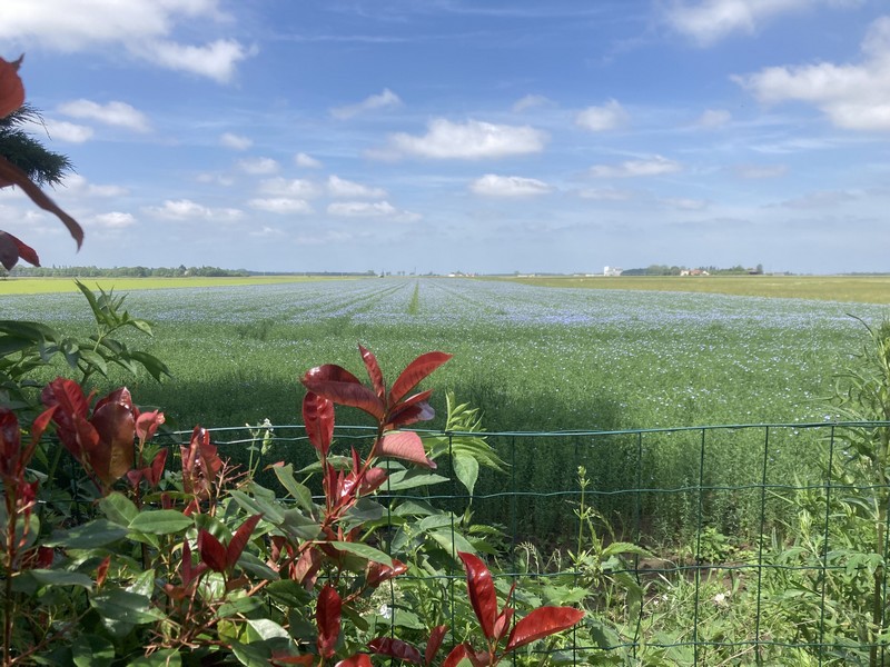 La Couarderie, Tigy - photo 13