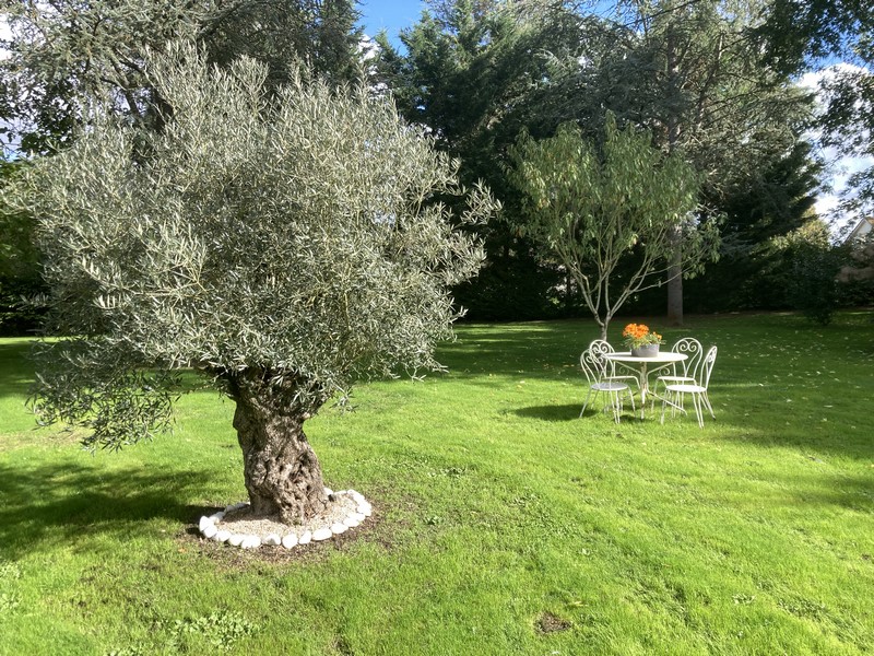 La Couarderie, Tigy - photo 11