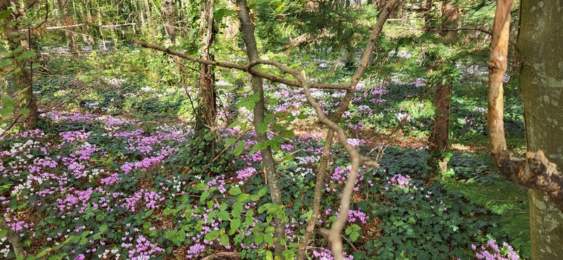 Le Papillon A32, Tigy - photo 3