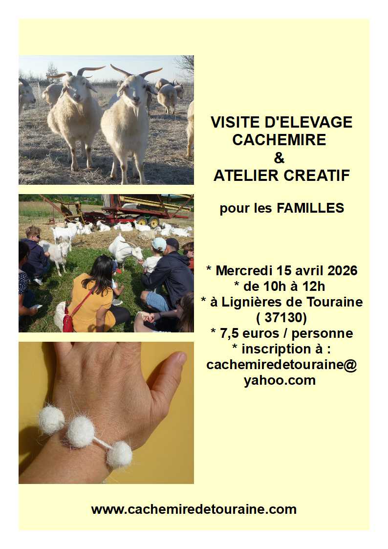 Visite pédagogique Cachemire — visuel événement