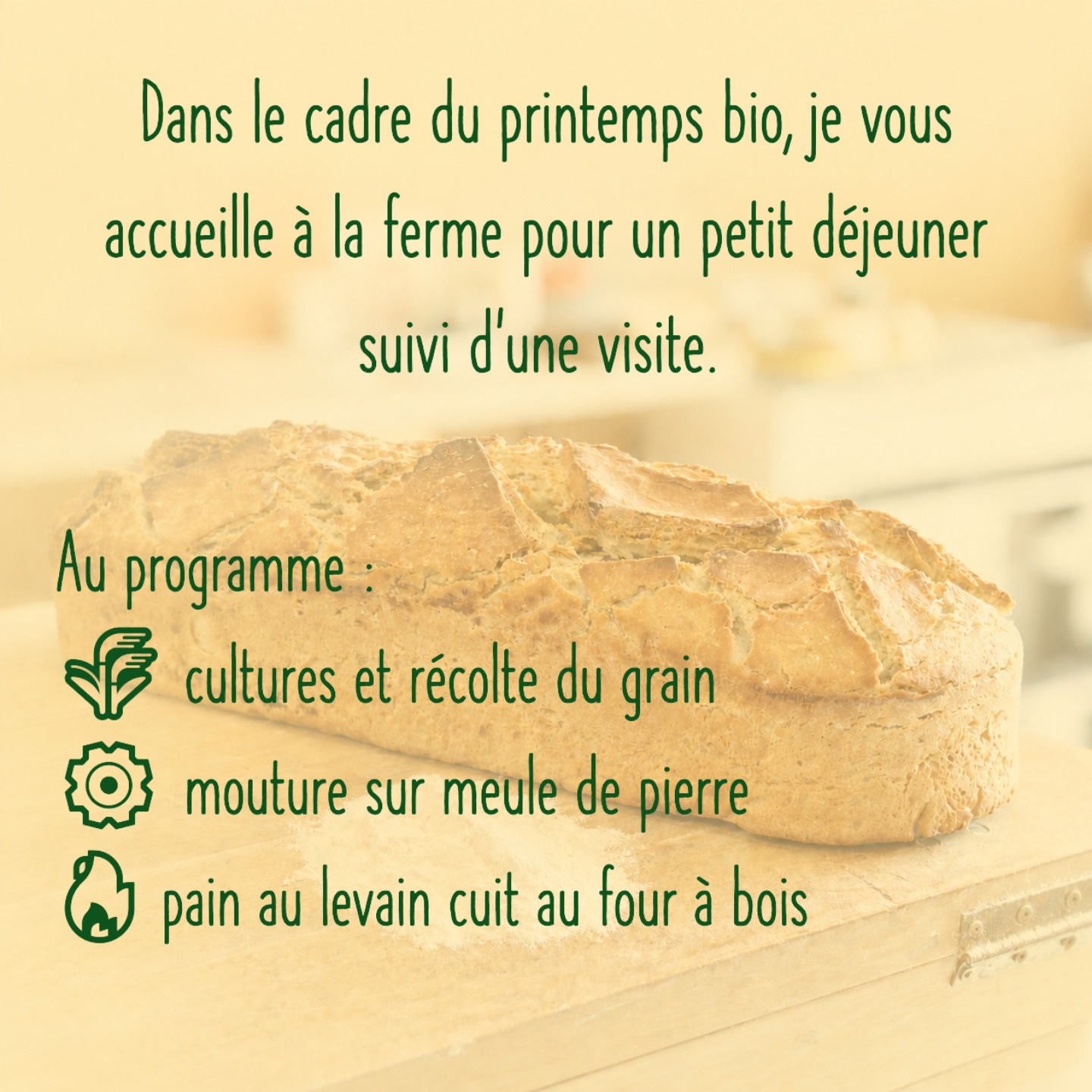 Petit déjeuner, dégustation et visite de ferme d'un paysan boulanger