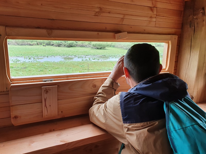 Observatoires privatif du site de l'étang de Bellebouche
