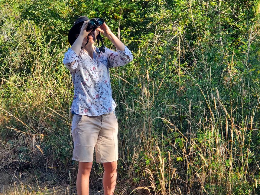 Sentier de découverte de Beauregard, Saint-Michel-en-Brenne - photo 2