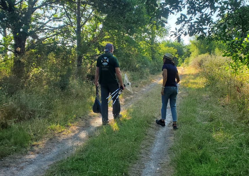 Sentier de découverte de Beauregard, Saint-Michel-en-Brenne - photo 3