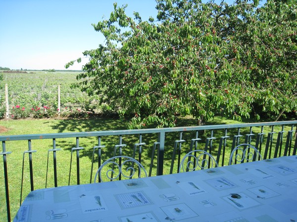 Chez Lucie en Touraine, Montlouis-sur-Loire - photo 12